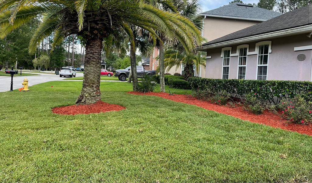 AJAX Landscaping in Jacksonville