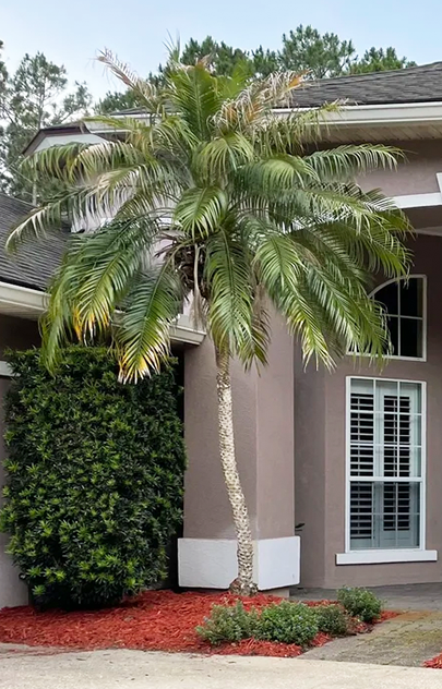 AJAX Landscape in Jacksonville