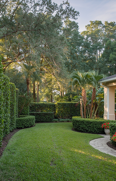 Trees & Hedges Jacksonville